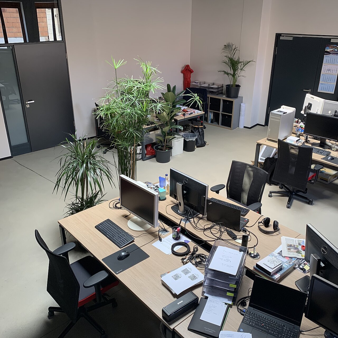 Großraumbüro Decide mit mehreren Arbeitsplätzen, Computern und vielen grünen Pflanzen in einem aufgeräumten, modernen Raum.