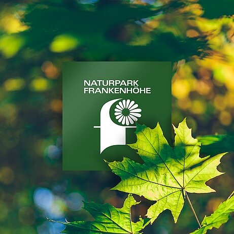 Logo „NATURPARK FRANKENHÖHE“ vor grünem Blätterhintergrund mit stilisiertem F und Blütenmotiv.